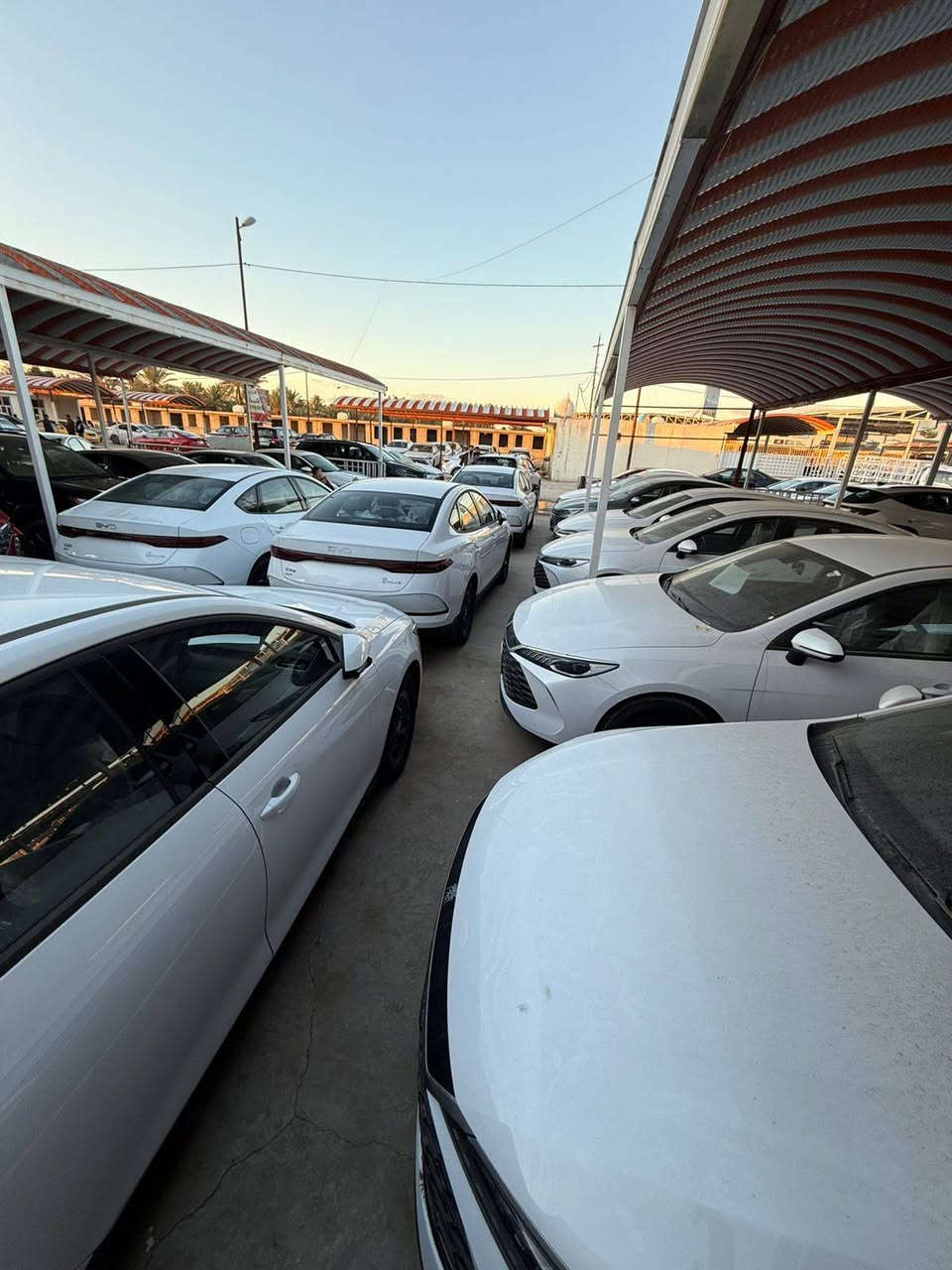 توفر بي واي دي كن بلص موديل 2025
اليكم المواصفات: 

انتبه السياره : هايبرد & بانزين & كهرباء يعني التفويله الوحده بانزين نمشيك 2100 كيلو
سعه التانكي 65 لتر
موديل 2025
حساسات
حجم المحرك 1.5
شاشه اصليه
كامره خلفيه
هند بريك كهرباء
دشبول شاشه ديجيتال
اوتو هولد
مفتاح التشغيل بصمه
تشغيل عن بعد تحكمات مقود
اوامر صوتيه
منفذ طاقه
منافذ شحن
جلد حياكه
دخول ذكي
3 وضعيات قيادة
اشاير بالمري
تتسع المقصورة ل 5 ركاب
المقاعد جلد رياضي
اريل نفكيتر
اناره داخليه LED
لد امامي LED
قطعتين تبريد
مثبت سرعة
حجم الاطار 16
مانع تزحلق
شاحنه خلفية
كير كرستال 
البطارية ليثيوم الاقوى والاطول عمرا في عالم الهايبرد
بصمه مع كارت 

للاستفسار : ***********
السعر : 18.400.000 دينار عراقي فقط
