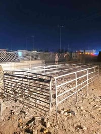 قفص كنتر • ارتفاع ٨٠ • ناصريه الرفاعي