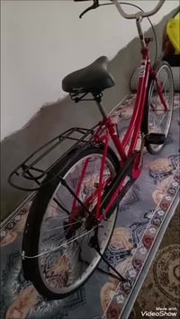 بيسكل • حجم ٢٦ • ياباني