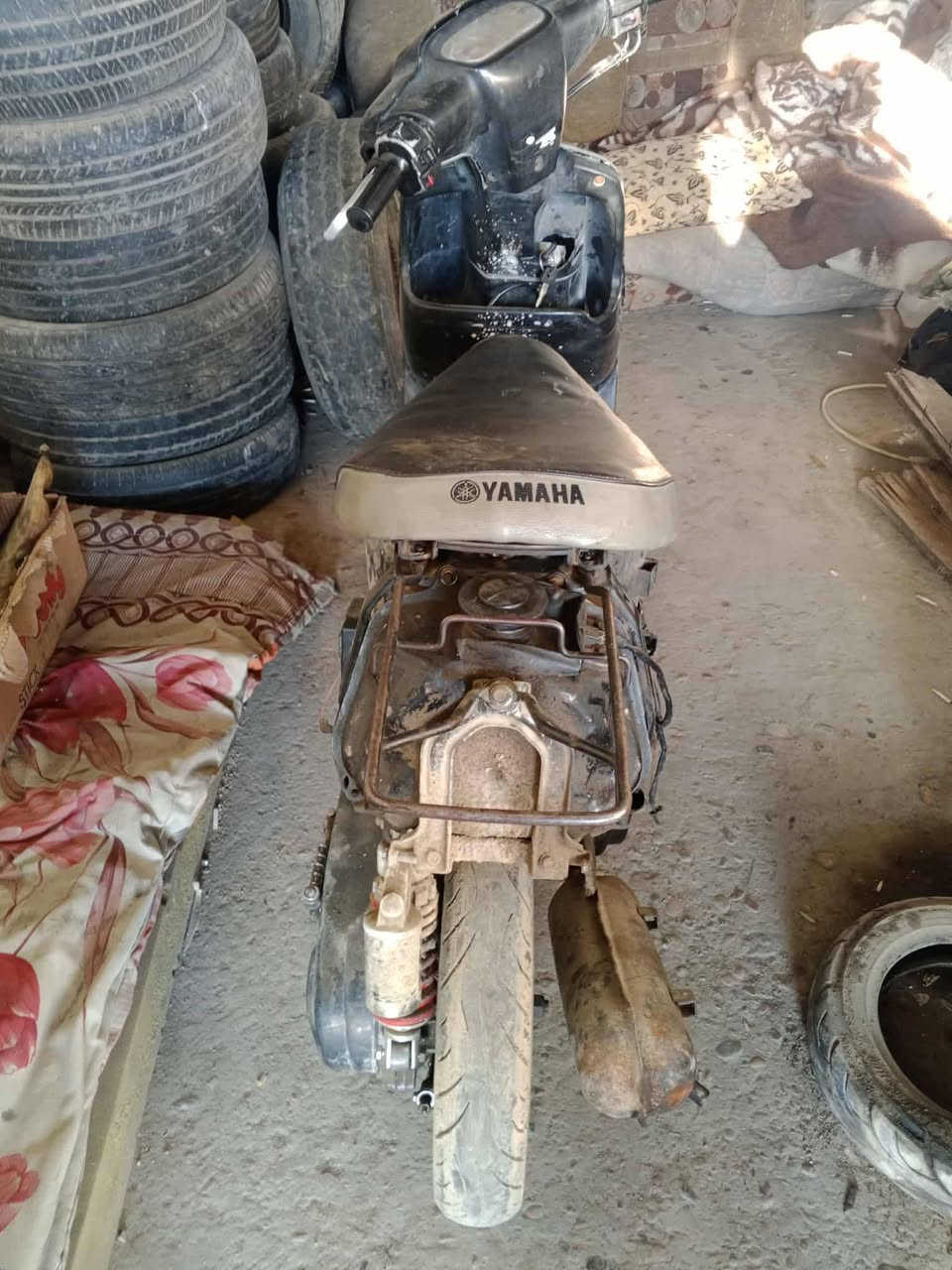 مكلف بلنشر ولاحد يجي خاص يتصل
ماطور بوتين قاطع ناريا شاصي استندر غؤاضو كامله***********
سعر 75
