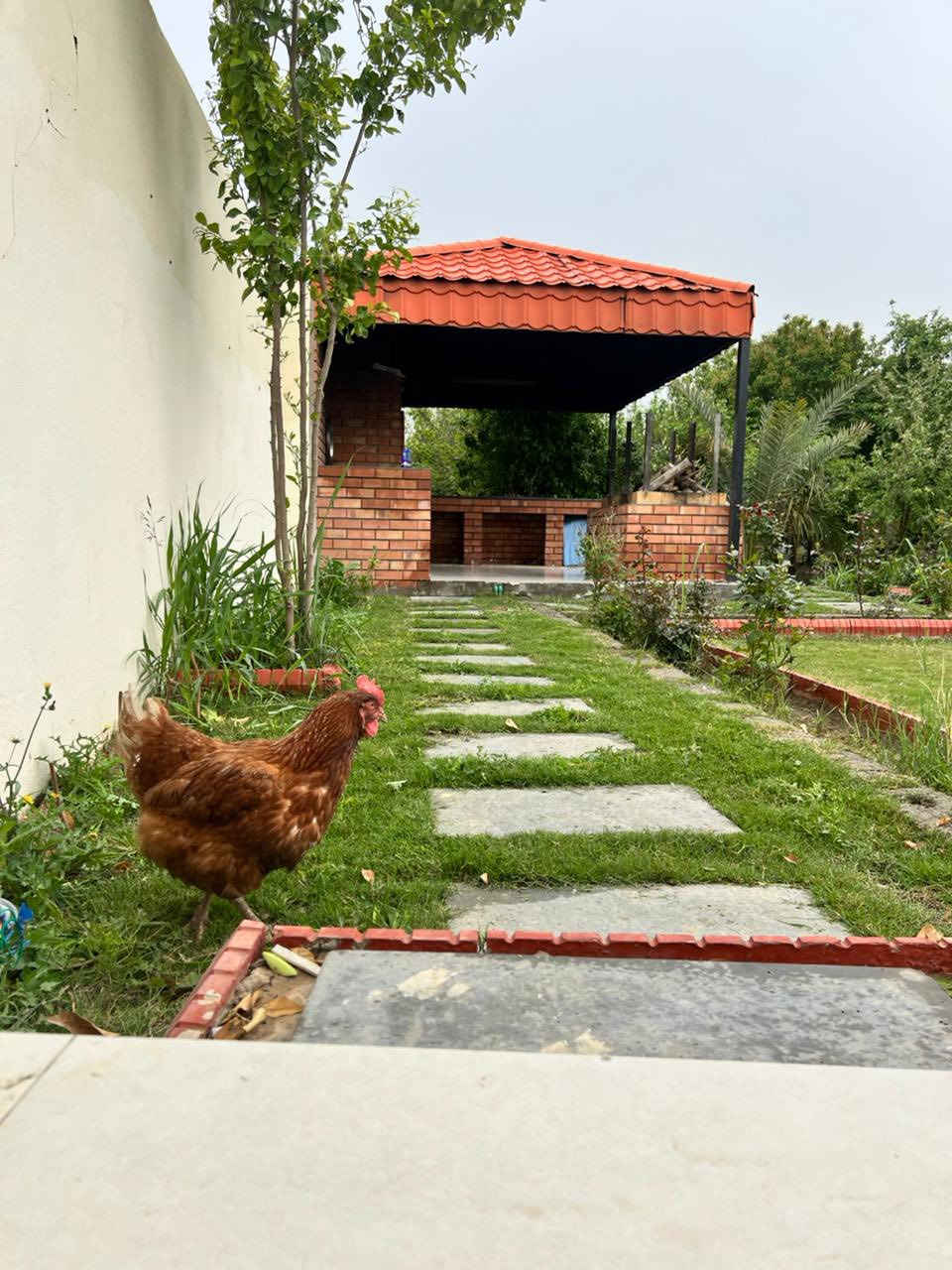 ❇️ مزرعة الأصيل ترحب بالضيوف الكرام
تفصيل المزرعه 
مساحته المزرعه 2دونم 5000متر مفتوحه تحتوي على جميع انواع الفواكه الصيفية والشتويه 
تحتوي المزرعة على : 
* بيت مؤثث بالكامل ومزود بكافة وسائل الراحة من سبالت وغيرها يشمل ( صحيات خارجية  - وداخليه _  مطبخ مجهز بالكامل - صالة - غرف نوم عدد 2 ) 
* مسبح كبير ومسبح لااطفال
* جلسات خارجية مميزة 
  * جلسة عربي
* ألعاب كبار (فيشة - منضدة) 
* شواية  (مع معدات الشوي) 
* كراج سيارات  
* حديقة خارجية كبيرة + مرجوحة 
* كهرباء وإنترنت على مدار 24 ساعة  
* دلفري داخل المنتجع على مدار 24 ساعة
* 🔴 ملاحظة مهمة :- العدد المسموح (15) نفر فقط اي نفر فوق العدد المطلوب يدفع رسوم (10 ) آلاف دينار
* الأطفال ما محسوبين من عمر 5  فما دون .
* الشفت الصباحي من الساعة(10 صباحاً - 6مساءاً)
* الشفت المسائي من ساعة (:8 مساءاً -8 صباحاً) 
* لتثبيت الحجز إرسال نصف المبلغ ! ❇️
المزرعة موثقة بتطبيق اجرلي 

العنوان : صلاح الدين - قضاء بلد  قرب مطعم الربيع 
للحجز والاستفسار مراسلة الصفحة 
او الاتصال   :  ***********      

او مراسلتنا على الواتساب 

‏
