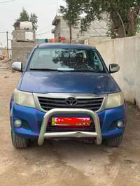 فلاونزة • ٢٠١٣ • كفاله عامه