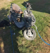 فراشه • ستوته • تايرات جدد