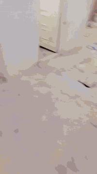 ناصريه لفداء • طابو صرف • ١١٥م