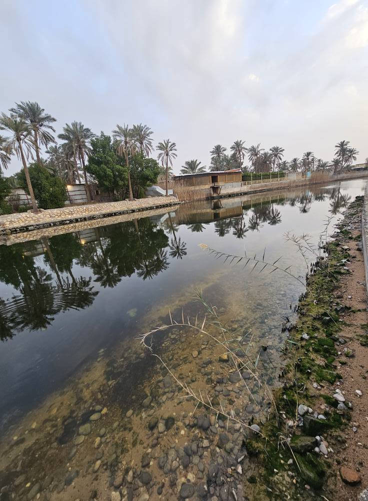دونمين للبيع – موقع مميز على شط حمدان مباشرة
📍 الموقع: البصرة / أبي الخصيب / حمدان
📐 المساحة: دونمين
📄 الملكية: طابو صرف (سهم)
🔄 التحويل: مباشر باسم المشتري
✨ مواصفات العقار:
إطلالة مباشرة وجميلة على شط حمدان
أرض فارغة وجاهزة للبناء
موقع هادئ ومرغوب
قريب من الخدمات الأساسية
🏡 مناسب جدًا للسكن أو للاستثمار (سكني / مشاريع استثمارية)
📞 للاستفسار والاتصال:
*********** البصرة, العراق
