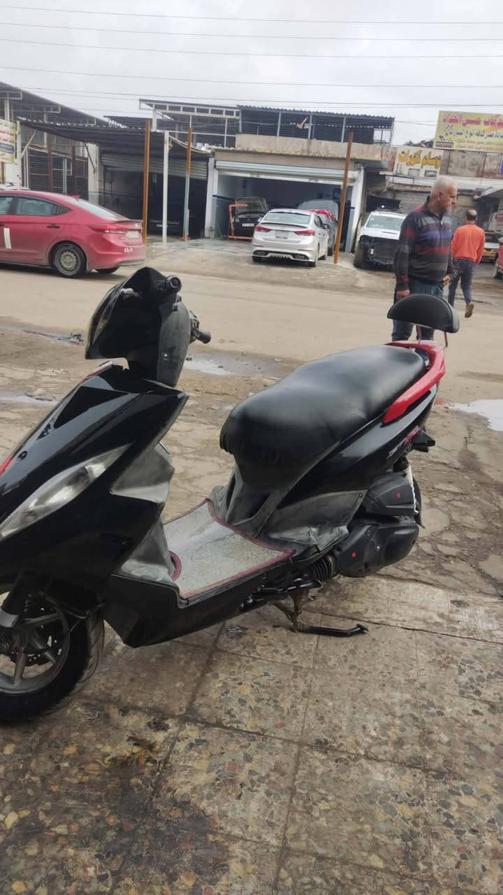 سلام عليكم مراوس بسكنس جبلي سكنس عادي ***********
