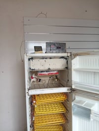 فقاسة • تماتيك • سامراء ناحية المعتصم