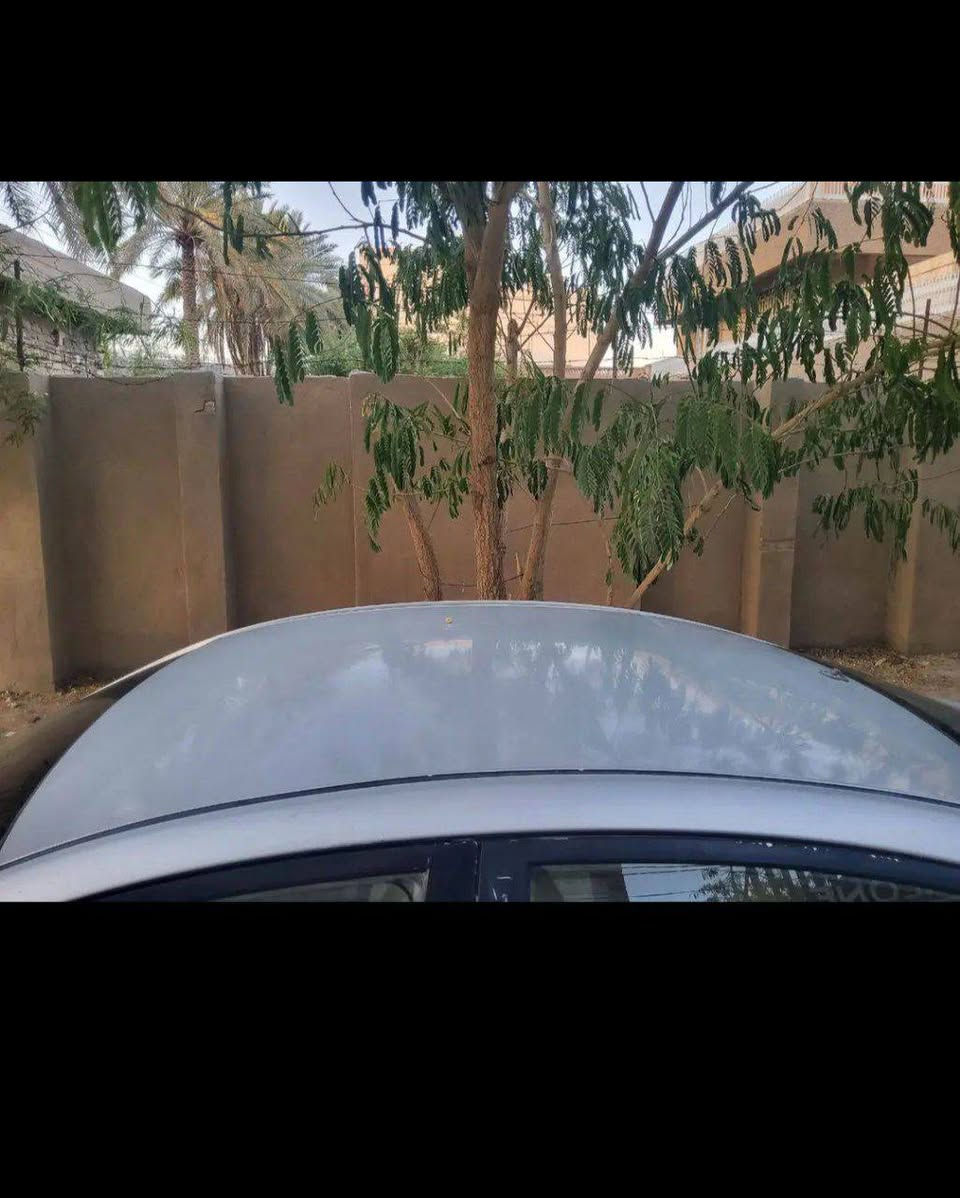 اكسنت 2012 وارد خليجي
سنويه باسمي ورقم جديد الماني  سياره بأسمي تحويل ثاني يوم (رقم كربلاء )

📌حداديه جديده 

📌تخم تاير جديد 

📌محرك 1.6

📌ماشيه 140 

 

📌اشاير بالمري 

📌شاشه اعطال 

وسياره معروفه مواصفاته نظيفه كلش وبل خير ع ياخذة 

مكانها كربلاء  

للاستفسار : ***********
