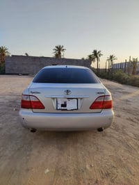 شاهينة • ٢٠٠٧ • بصرة
