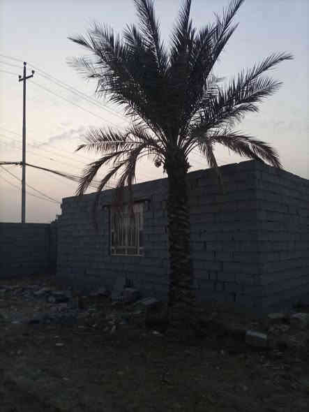 قطع للبيع سعر مناسب الموقع الشبانات عقد زراعي موطابوسعر 100متر6مليون للستفسار عل رقم ***********
