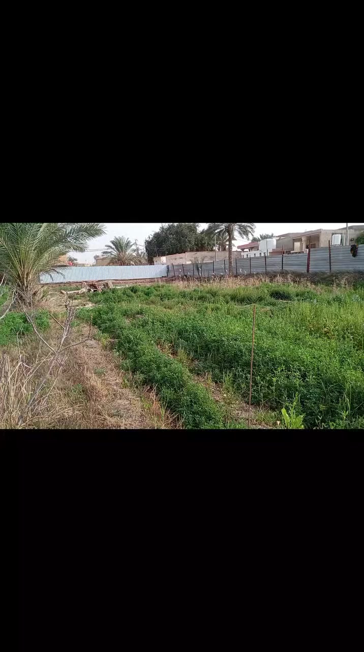 السلام عليكم ارض طابو زراعي سند 25 كربلاء اطويريج  مساحتها 1143 متر مربع تبعد عن الشارع العام ٢٥٠ متر تقريبا
سعرها 85 قابلة 
للستفسار ***********
