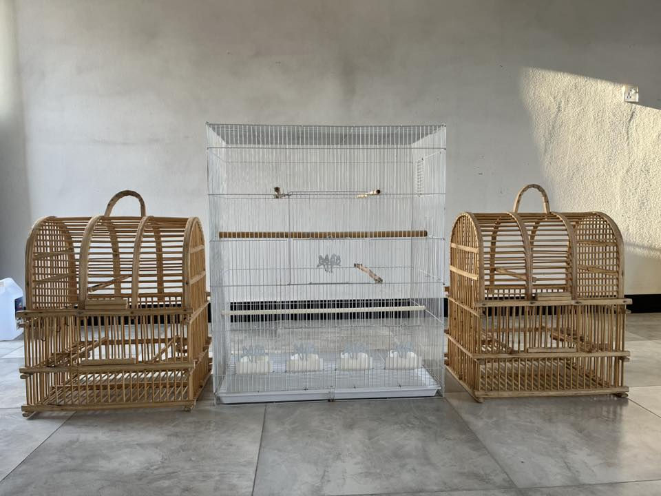 قفص الكبير 30وبي مجال وأقفاص البلابل 18وبي مجال ***********مستخدم نضيف اخو الجديد
