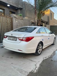 موديل 11 • خليجي • بدون صبغ