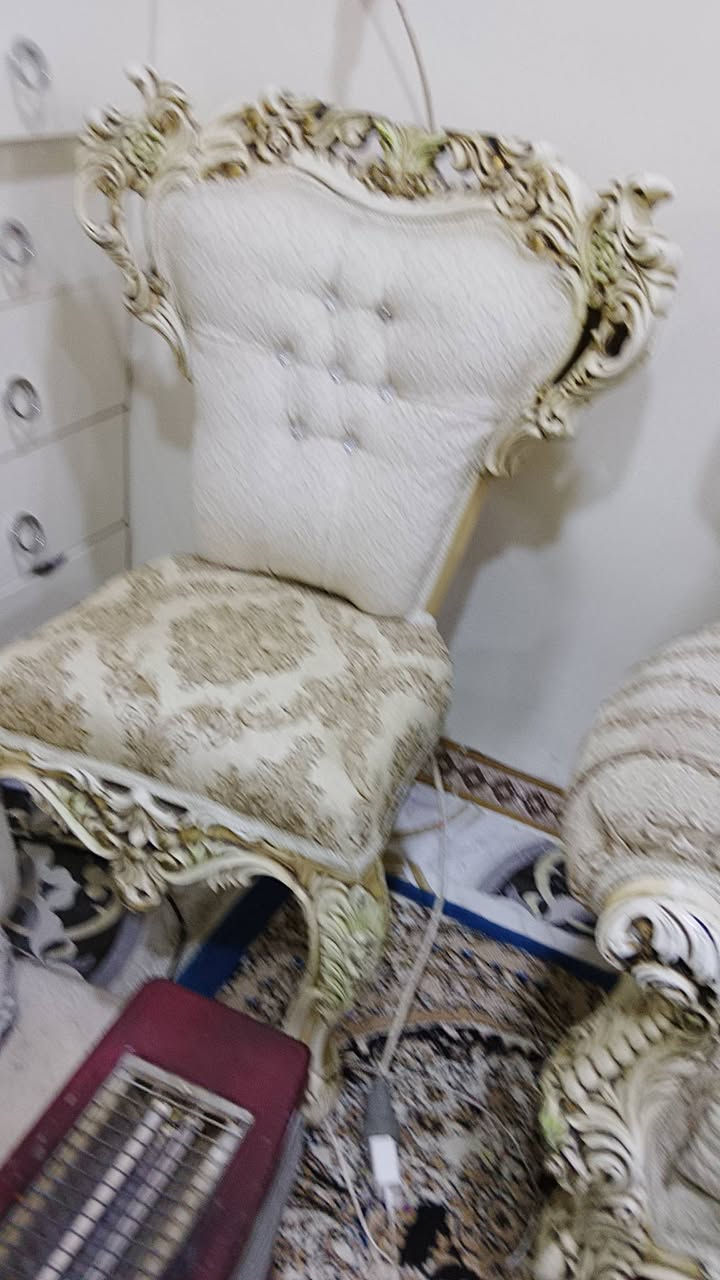 السلام عليكم..تخم قنفات ملكي للبيع يحتاج دوشمه..***********
