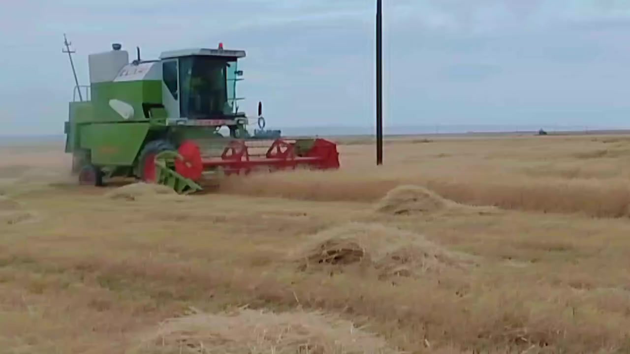 حاصوده للبيع موديل 13 ايراني  جاهزه تبريد شغال محرك بيركز مكان كركوك الرشاد الرقم 
***********
