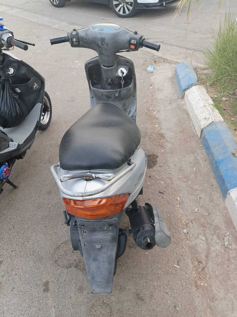 ماكس عدله وماكس منغولي للبيع معروضات للبيع بالمحل***********
