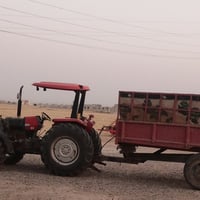 تركتر للاجره حنطه من الحاصوده  للبيت عل سايلو حموله 6 طن وين ماتريد  ا...