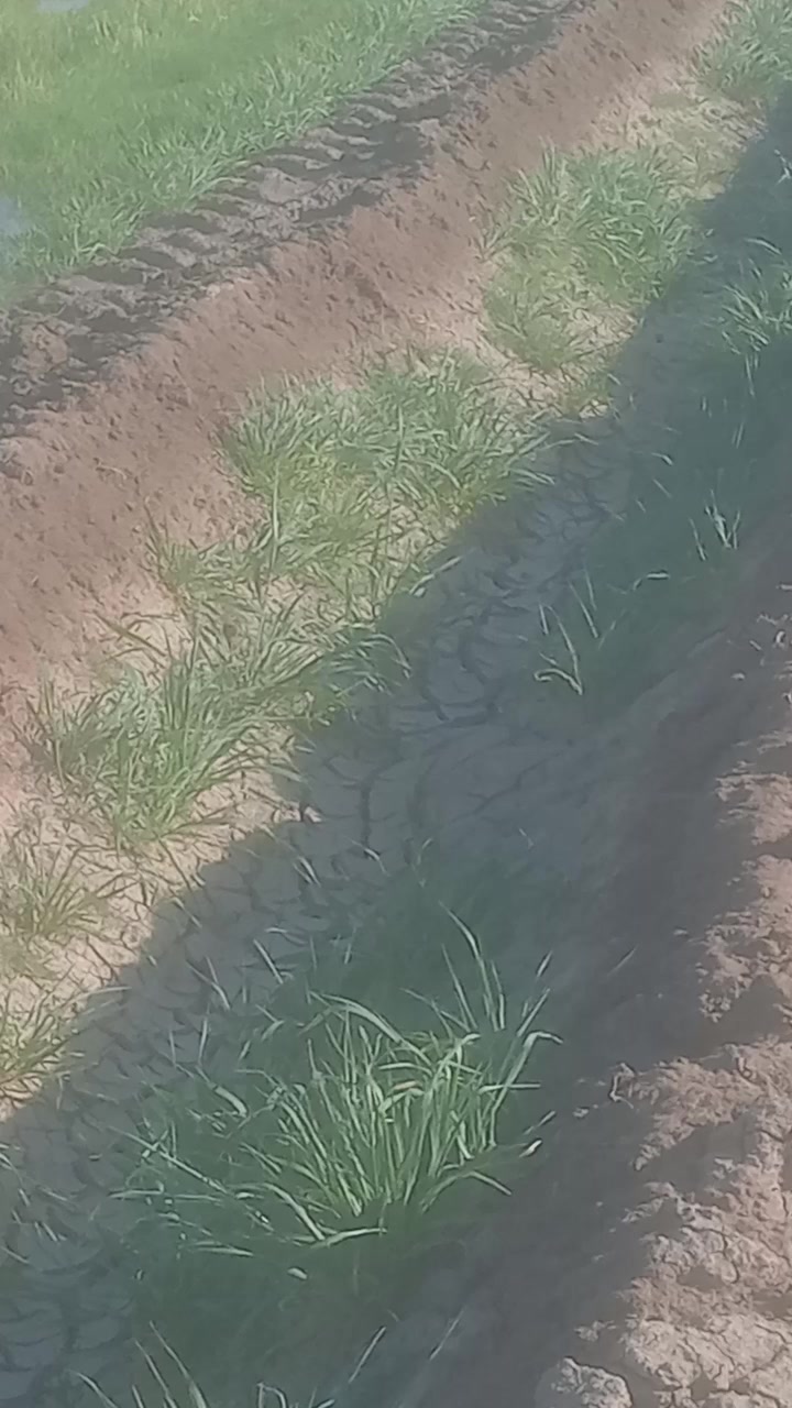 السلام عليكم أرض للبيع طابو صرف للبيع ٥٠دونم تبعد عن نعمانيه حوالي ١٠ كيلو بيها ماء وكهرباء ترهم حقول شارع تبليط بسدرها هذا رقم ***********
