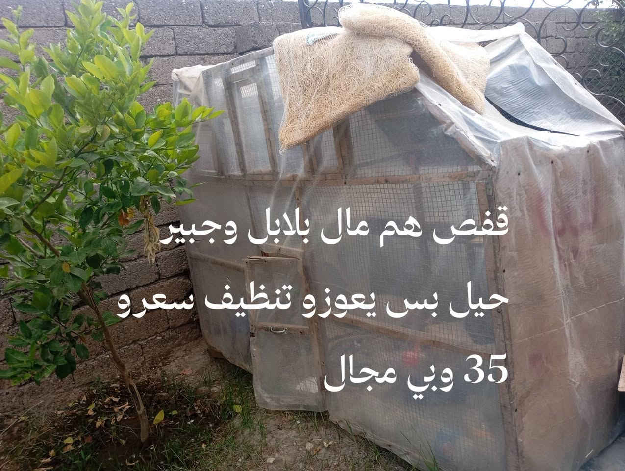 غراض للبيع و الأسعار داخل الصور وكلهم بيهم مجال وافق ادمن تحياتي الك


**إذا كنت صاحب هذا الإعلان وتريد حذفه لأي سبب، رجاءا أرسل رسالة إلى الدعم الفني**