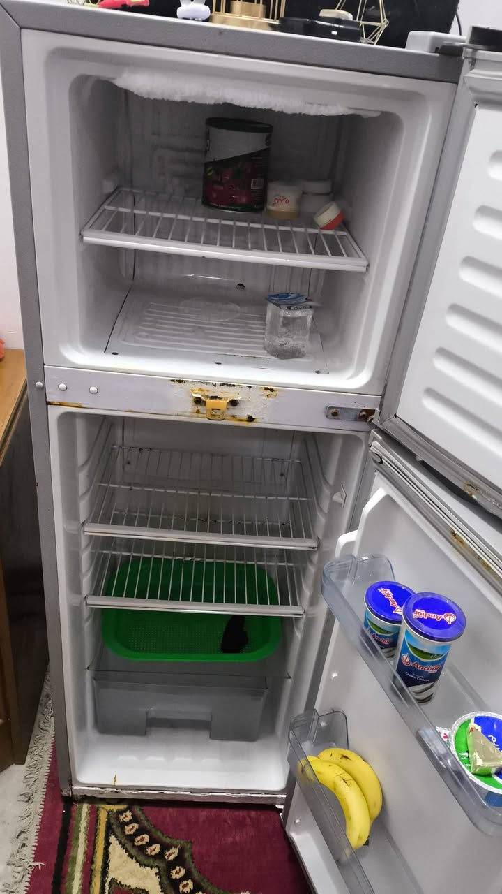 ثلاجة للبيع مكان التاجيات سعر١٥٠


**إذا كنت صاحب هذا الإعلان وتريد حذفه لأي سبب، رجاءا أرسل رسالة إلى الدعم الفني**