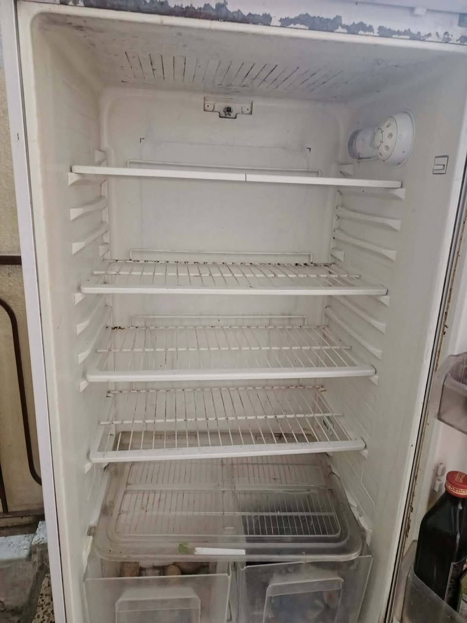 ثلاجه للبيع تجميد فول السعر 120 بيها مجال


**إذا كنت صاحب هذا الإعلان وتريد حذفه لأي سبب، رجاءا أرسل رسالة إلى الدعم الفني**