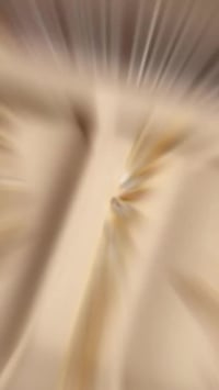 طقم ساعات • جديد • کادژمێرلامان