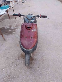 بطة • شغالة • النجف