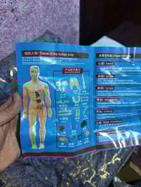 مجسم • زينة منزل • انطي سعرك