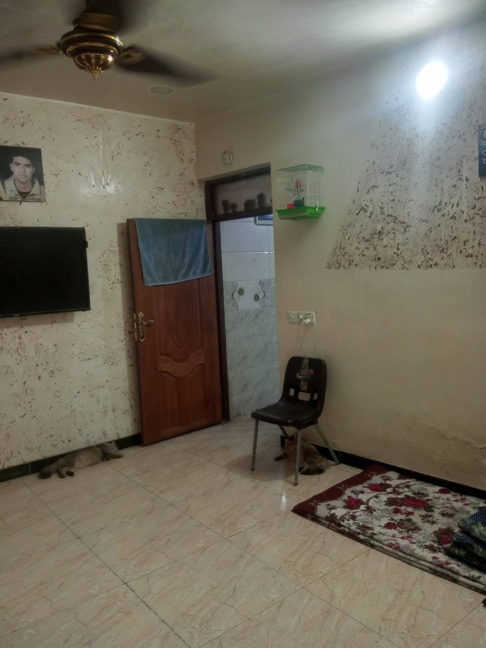 مشتمل مساحة ٥٠متر زراعي منطقه سويب ارض حجي عماد العامري تلاث طوابق ثلاث غرف نوم كامل  خدمات ماء كهرباء مجاري تبليط سعر ٥٧بي مجال بسيط الإتصال *********** واتساب
