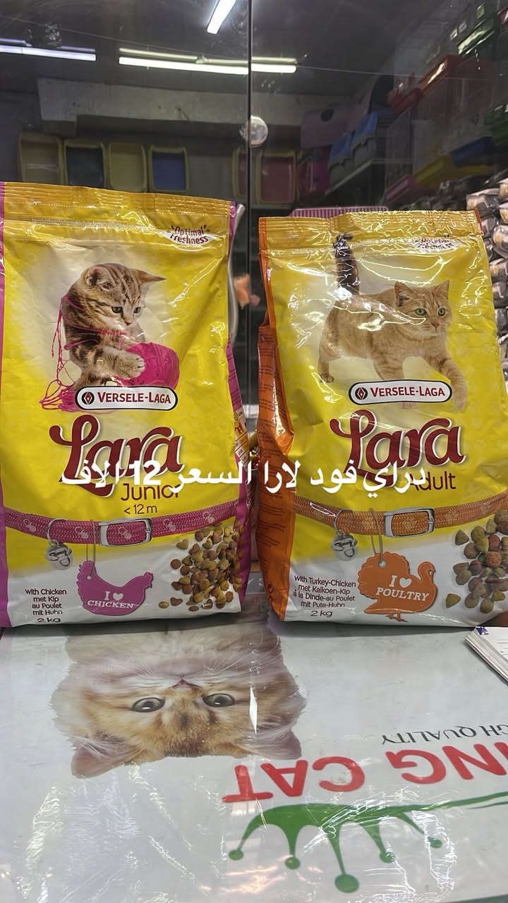 العنوان:بغداد_الشعب_شارع الاسواق المركزية مقابيل مدرسه جندي الباسل :يتوفر جميع مستلزمات حيوانك الاليف 🐈. رقم واتساب ‭***********‬ توصيل متوفر
