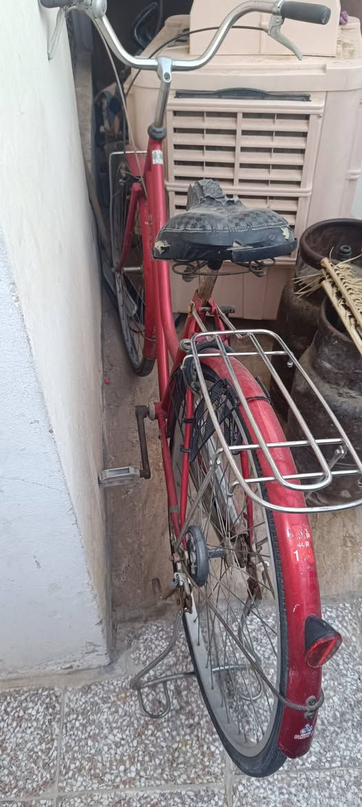 باسكل حجم 27 متروك نظيف عايز بس جوبين سعرة 75. وتوصيلتة عليه اني اجيبه


**إذا كنت صاحب هذا الإعلان وتريد حذفه لأي سبب، رجاءا أرسل رسالة إلى الدعم الفني**