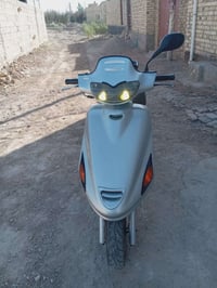 فراشة فحل • نضيفه • مامفتوحه