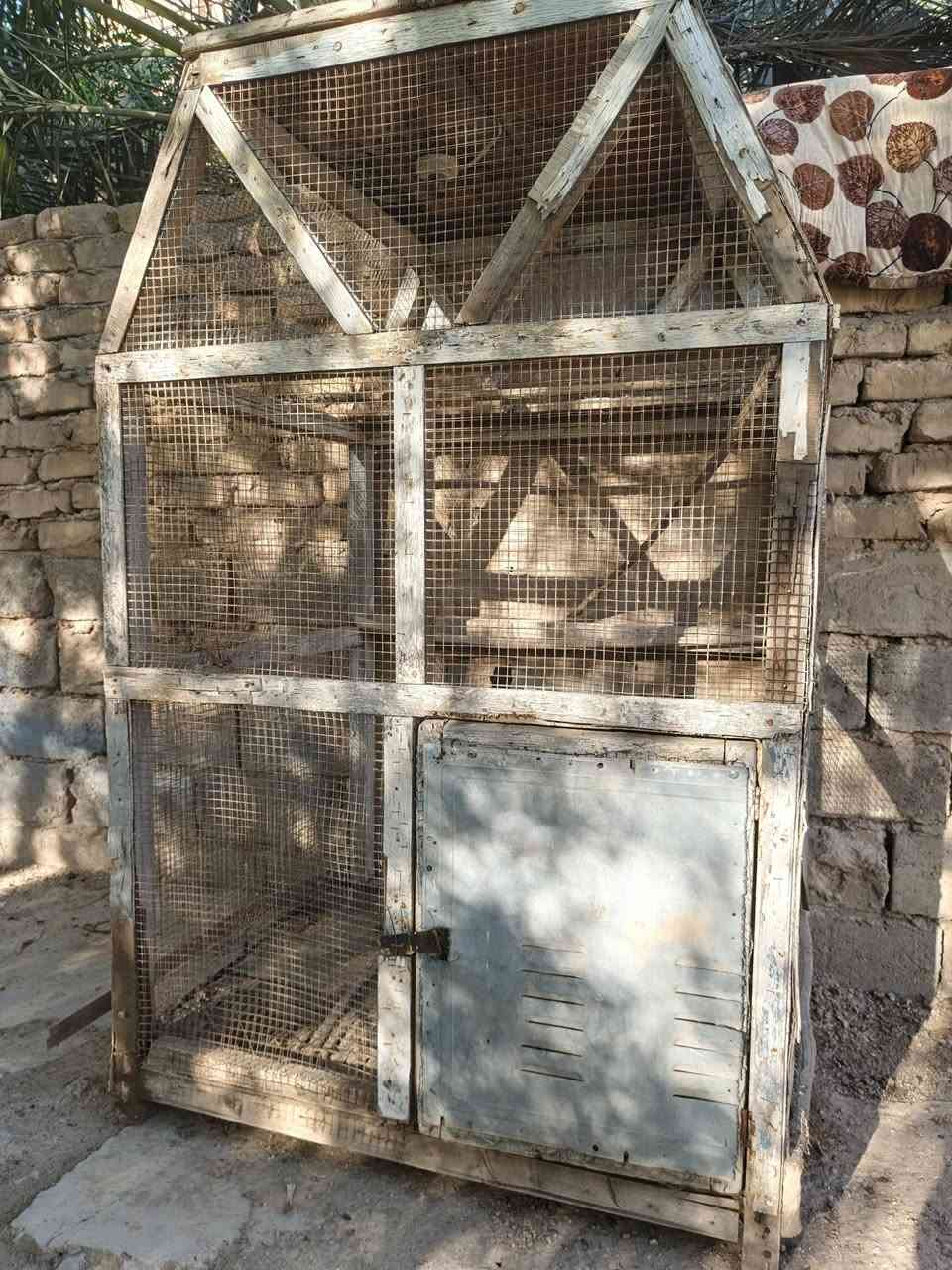 السلام عليكم عندي قفصين للبيع القفص الزغير خانتين ابد ممستخدم ومرتب القفص الجبير بس ناقصه ارضيه وياهن حلات اذا شراي ادخلي خاص ارد عليك


**إذا كنت صاحب هذا الإعلان وتريد حذفه لأي سبب، رجاءا أرسل رسالة إلى الدعم الفني**