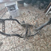 شاصي سكنس • ياباني • النجف