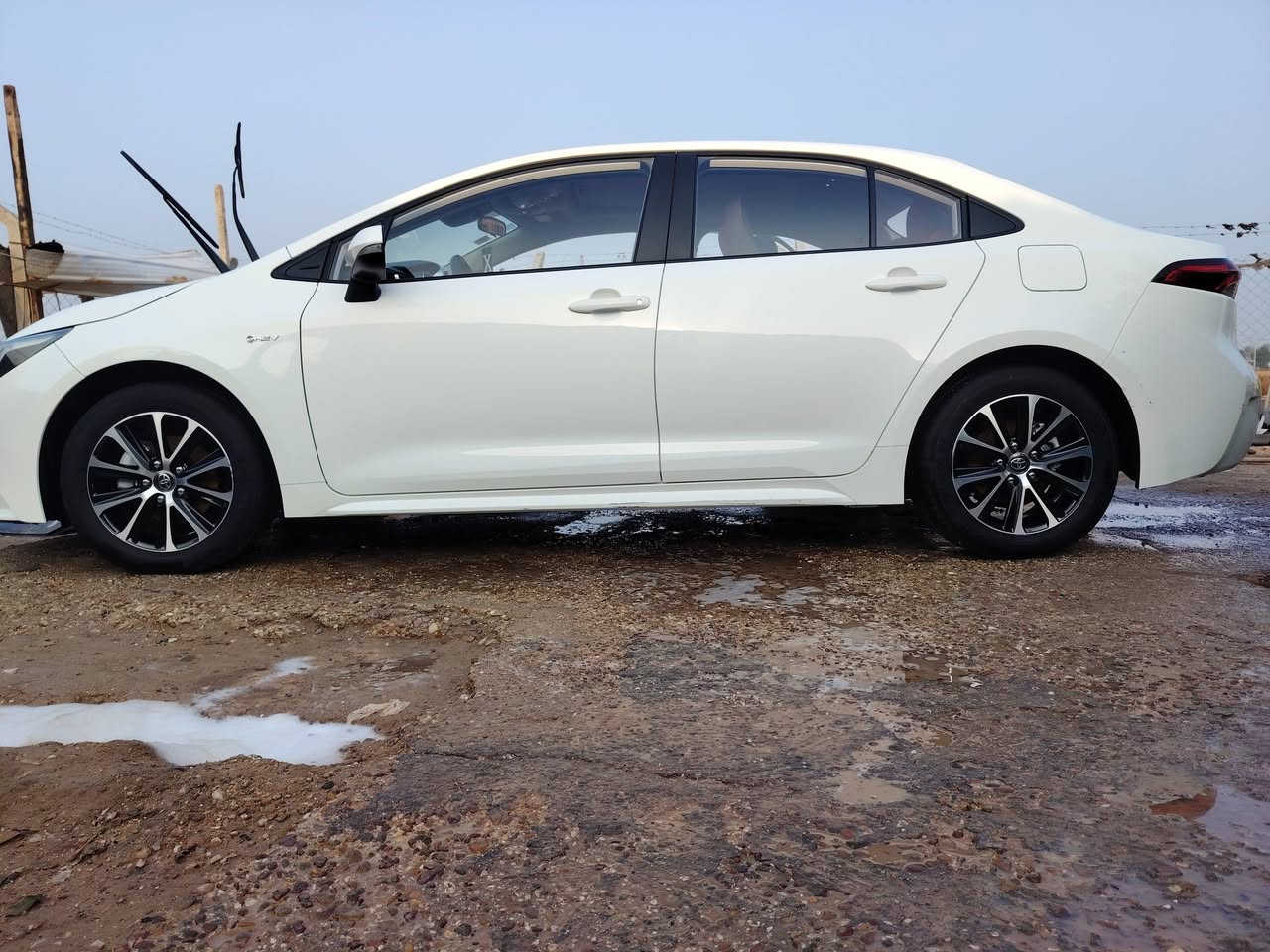 سلام عليكم كورلا ٢٠٢٤ مكفوله ***********
