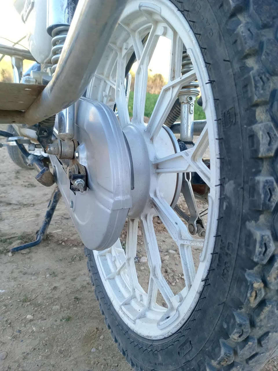 جني ابو الكله خمسه كير 2024 مامفتوح شرط لاصرف ولابخار كله شغال شغال مابي اي نقص شرط نكره سلف منفيس موجود السعر 600 وبي مجال ويرهم مراوس ب أربعه كير حسب القناعه الخاص مفتوح *********** بي واتساب / العنوان ناحيه الزاب صباغيه
