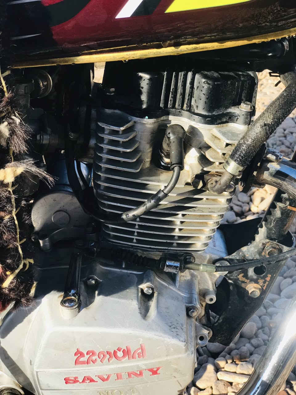 السلام عليكم دراجه سيفان موديل ٢٠١٩ دراجه معمره كله ٢٦ تيرات جديد اشاير مال ٢٦ مازده ٢٦ بكلايت ٢٦ كشن تانكي مال٢٦ شعاله سلف هندر كله جديد عينه جديده سعر٤٠٠بيه مجال مكاني ديالى بلدروز رقم *********** موو شراي لايتعبني 💙
