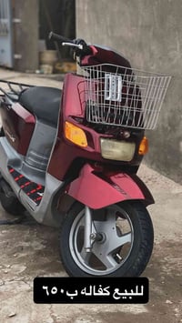 حله مركز • للبيع • دراجة