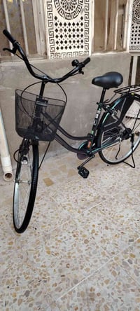 باسكل • حجم ٢٦ • موديل ٢٥