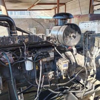 مولد • بيركز انكليزي • ١٣٠٠