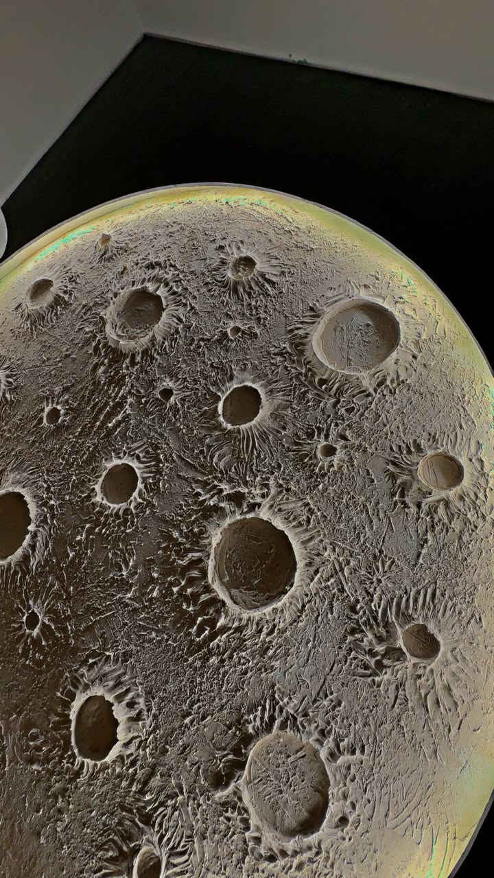 السلام عليكم ورحمة الله  
أخوكم أحمد الربيعي 🌹  

تنفيذ جميع أعمال الديكورات للمنازل والمحلات وبأفضل الأسعار:  

🔹 جبسن بورد  
🔹 بديل الرخام  
🔹 بديل الشيبورد  
🔹 تخليف بلاستك  
🔹 سقوف ثانوية  
🔹 إنارة مخفية  
🔹 ديكورات بلازما  

شغل مرتب وتصاميم حديثة تضيف فخامة وجمال لبيتكم.  

📞 الاستفسار: ***********  
📍 بغداد
