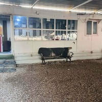 كرفان ٩×٤ • ٣٦م • ديوانية القادسية