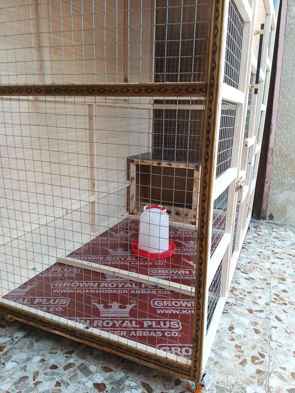قفص دجاج شغل جديد حسب الطلب مكاني كربلاء توصيل داخل كربلاء فقط


**إذا كنت صاحب هذا الإعلان وتريد حذفه لأي سبب، رجاءا أرسل رسالة إلى الدعم الفني**