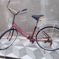 العنتر • دراجة • الغراف