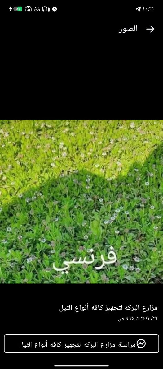 ثيل هندي درجه وله العلم توصيل لجميع المحافظات بسعر مناسب قطعه والون وهاذه رقمي  ‏‪***********‬‏🌴🎋🌲🌳🌱🌿🥀بسم الله الرحمن الرحيم نبدة بصلاتت
علا الي محمد والي محمد 

توفر عدنة حالين توصيل والتجهيز الثيل  الطبيعي 

ويتوفر زراعة الثيل 

حسب الطلب النوع الثيل والكمية 

وليطلب شتلات معة الثيل نوصله ثيل وشتلات 

🌹🥀🌷🌴🪴🌲🌳🌱🌿🌵🍀🌿🪴🌺  

يطلب نوع الثيل ويطلب نوع الشتلات نوصلة 

التوصيل للكل محافضات القراق 

ممن خلال اتصالكم علة شركة 

مزارع ديالى الطبيعي

زراعة اماكم جزرات وصطية متنزهات بيوت ملاعب 

حداءق عام
