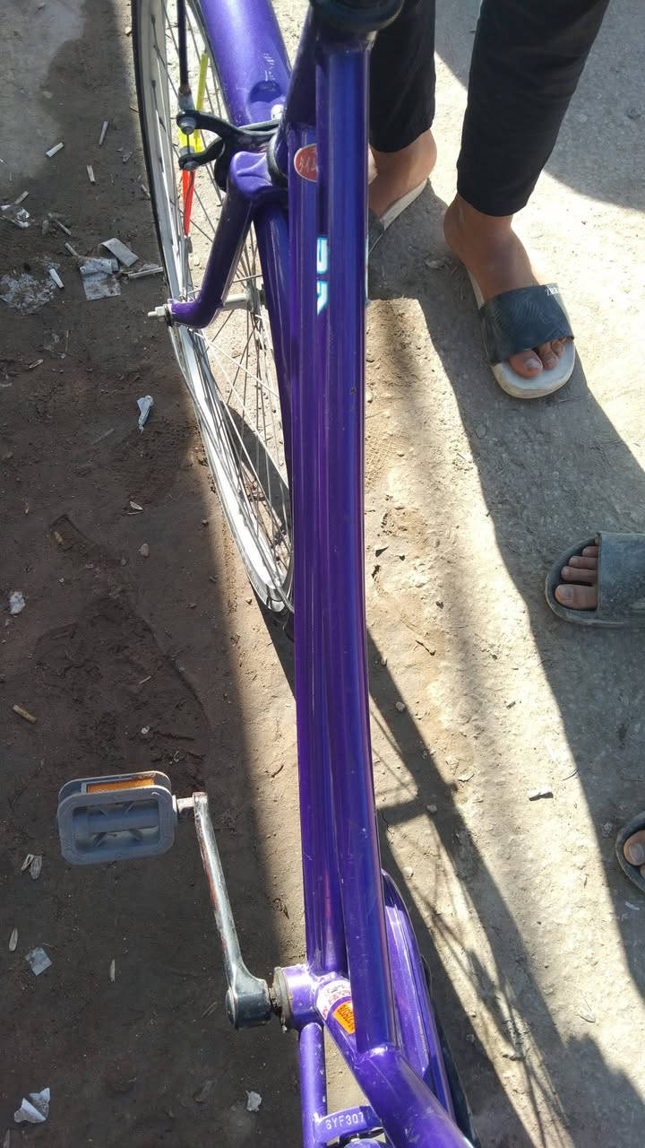 السلام عليكم باسكل للبيع سوبر ٢٠٢١
مكان نجف الاشرف عسكري كبل مكتب الرشيد بنز صفاره باسكل كامل مكمل 
تايرات جدد جوابه جدد 
سوبر الاصلي مو من هذني الي نزل الجدد التجاريات 
لون بنفسجي 
سعره ب١٢٥وبي مجال المو شراي لا يراسل ولا يعلق


**إذا كنت صاحب هذا الإعلان وتريد حذفه لأي سبب، رجاءا أرسل رسالة إلى الدعم الفني**