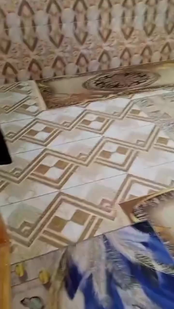 دار للبيع طابقين المساحه 50 والسعر 48 مع المجال موقع الدار كربلاء الامن الداخلي منطقه الساهرون خلف المحطه قرب مجمع العتبه خلف شارع 60 الاستفسار اكثر اتصال على الرقم
***********
***********
