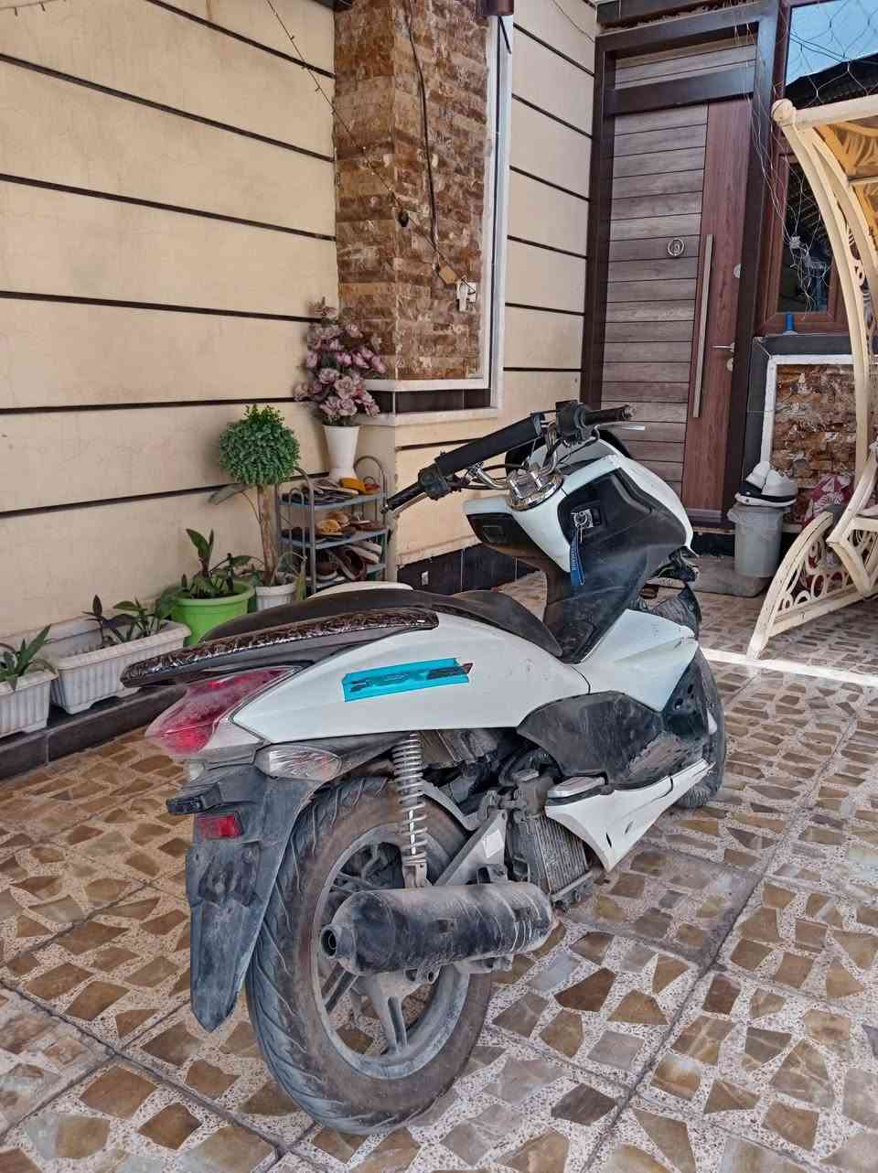 اسلام عليكم pcx جيل اول للبيع بيه هذي الضربه مثل مموجود بلصور بس كفر مكسور شاصي مكفول ودراجه شغاله كلشي مابيه حساس ازدحام حساس استان شغالات  كهربائيات كلها شغاله دراجه نضيفه بس عليه تراب  مكاني ديالى بعقوبه السعر 550 وبيه مجال بصيط
***********
موجود واتساب همين
