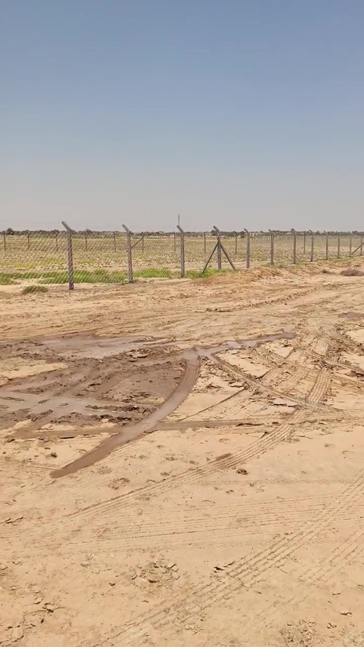 عرض مناسب جدا جدا دوانم طريق المهدي..
لمن يرغب ببناء مزرعة أو بيوت في مساحات كبيرة..
دونمين ونصف كل دونم مسيج لوحده بي ار سي 
اصوليات باسمنه مداور أسهم محكمة..
طريق خاص 
وخدمات ماء وكهرباء قريبه 
الأرض طيبه وصالحة للزراعة ومنطقة قمة الهدوء 
الاسعار مناسبة وممكن بيع دونم واحد أو الكل حسب رغبة المشتري..
للاستفسار 
***********
***********
أو مراجعة مكتب المشرف للعقارات السماوة شارع الاسكان مقابيل صيدلية النورين رواد وصيدلية المستقبل
