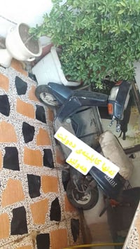دونت • هەولێر